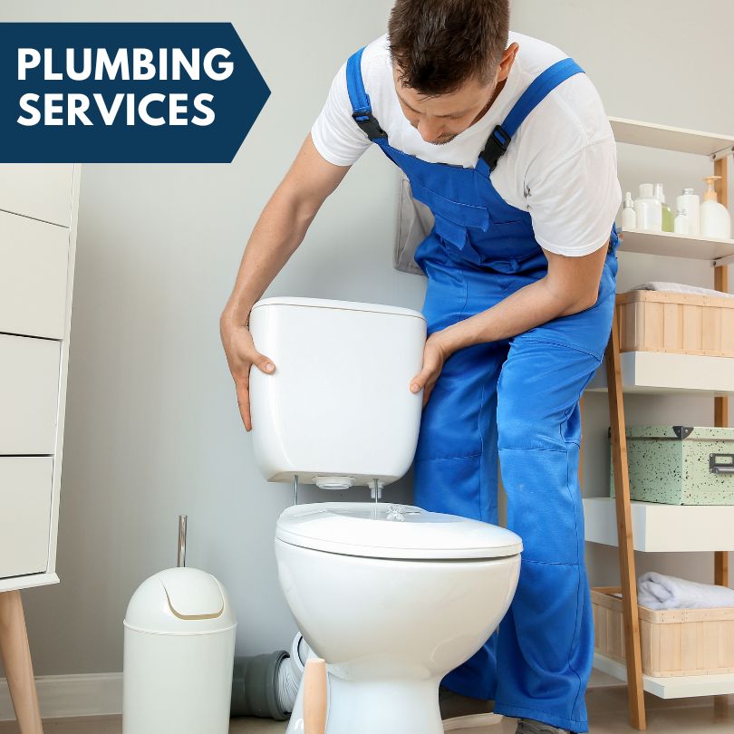 Plumbing Company in Berwick, IA